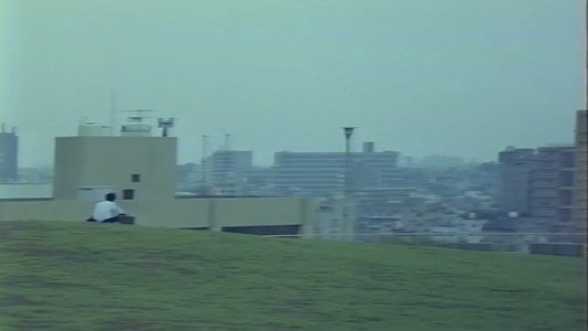 視姦白日夢