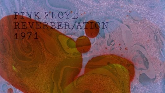 Pink Floyd - The Early Years Vol 5: 1971: Reverber/ation