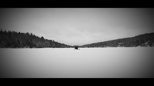 Echoes Of Ivory