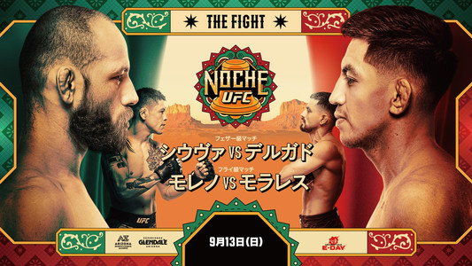 UFC Fight Night 288: Silva vs. Delgado
