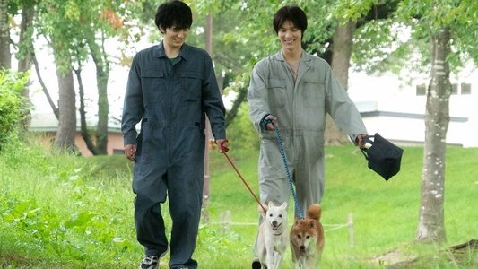犬部！