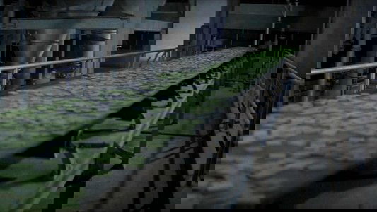 Soylent Green