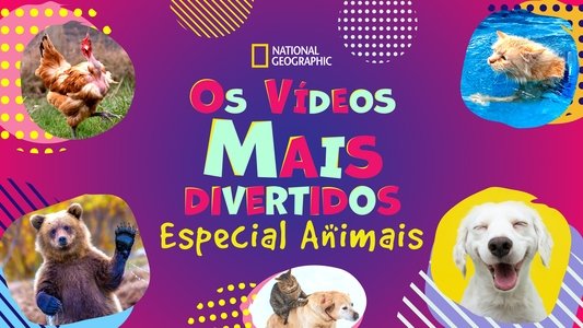 America's Funniest Home Videos: Animal Edition