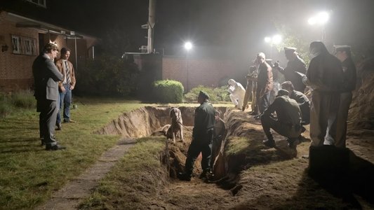 Das Geheimnis des Totenwaldes