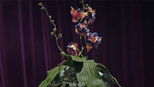 작은 아씨들