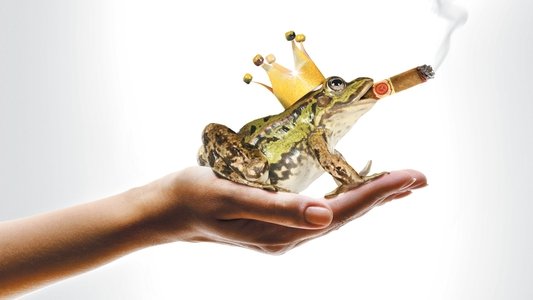 Un Prince (presque) charmant