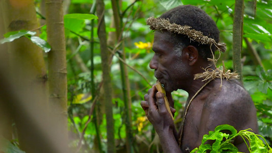 사운드 오브 뮤직: 음악의 탄생