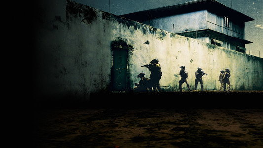 Zero Dark Thirty