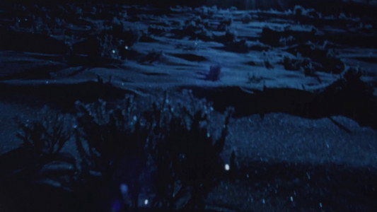 Swimming Stone
