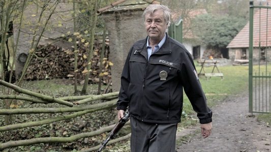 Záblesky chladné neděle