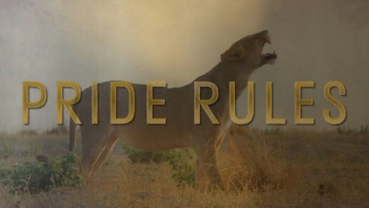 Pride Rules