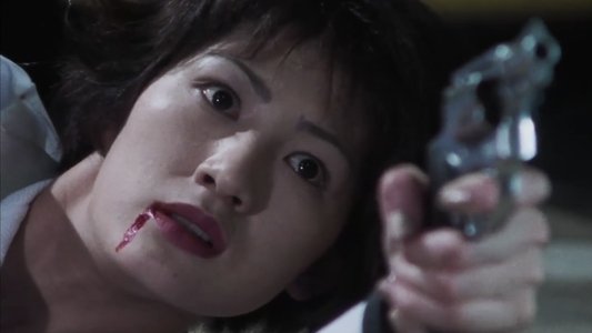 XX 美しき機能