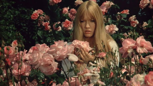 La Faute de l'abbé Mouret