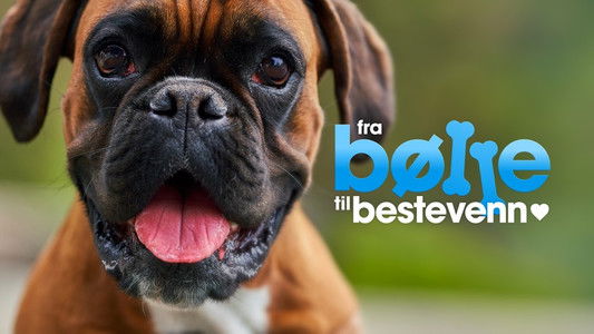 Fra bølle til bestevenn