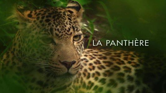 Die Leopardin