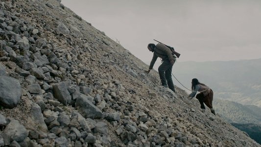 Dragoste 1. Câine