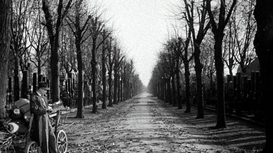 The Third Man