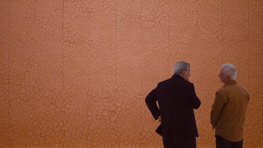 Andy Goldsworthy in Conversation with Andrew Graham-Dixon