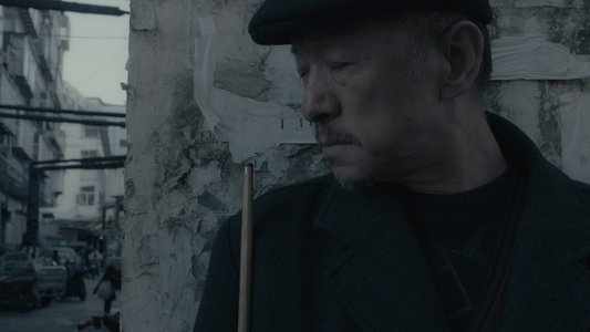 大象席地而坐