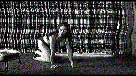 The Poughkeepsie Tapes