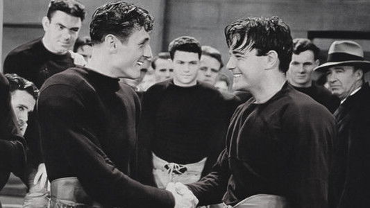 The Spirit of Notre Dame