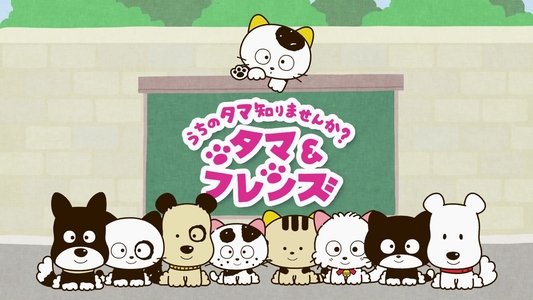 タマ&フレンズ うちのタマ知りませんか?