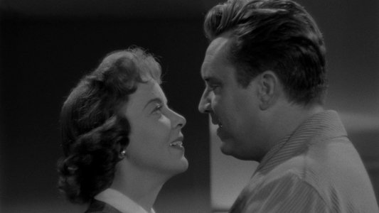 The Bigamist