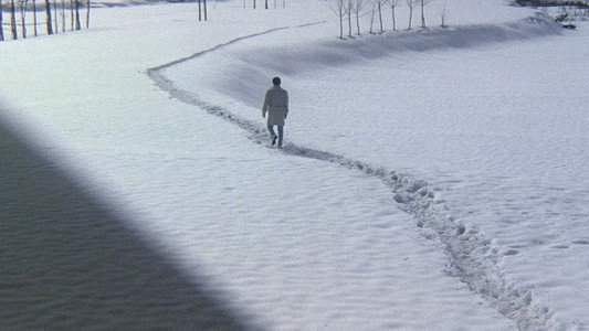 東京流れ者