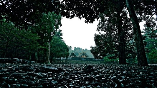 うみやまあひだ 伊勢神宮の森から響くメッセージ