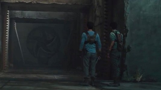The Maze Runner