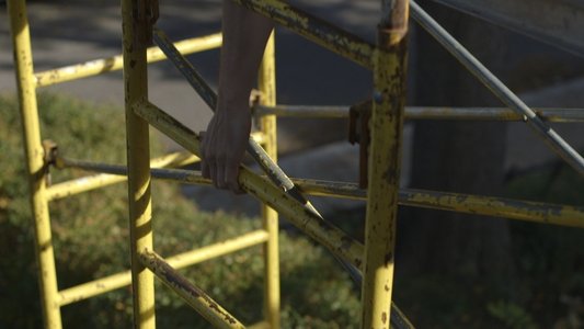Scaffold