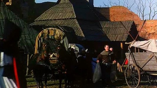 Wiedźmin