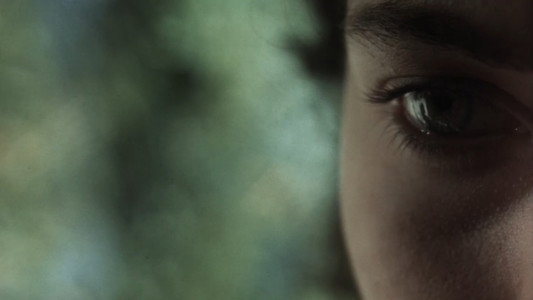 Nostos: il ritorno