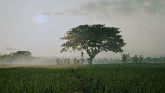 Bolong, 309 Hari Sebelum Tragedi Berdarah