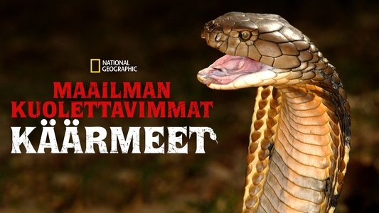 World's Deadliest Snakes