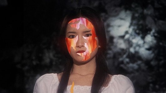 ハウス