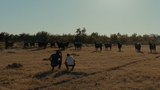 Un monde sans bêtes
