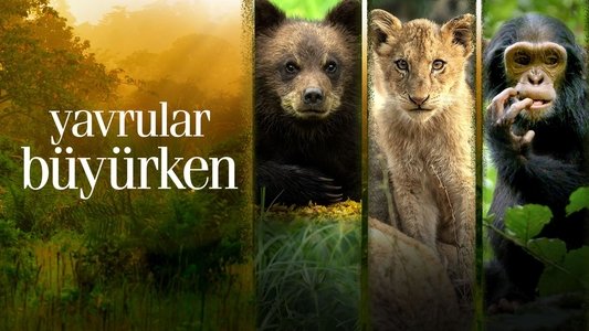Growing Up Animal