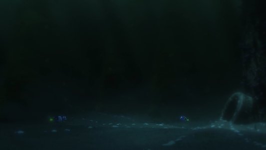 Finding Dory