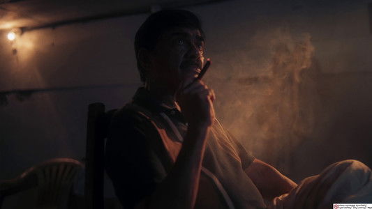 ദി പെറ്റ് ഡിറ്റക്ടീവ്‌