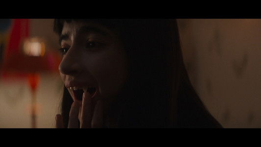 Vampire humaniste cherche suicidaire consentant