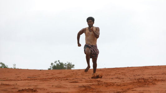 பைசன் காளமாடன்