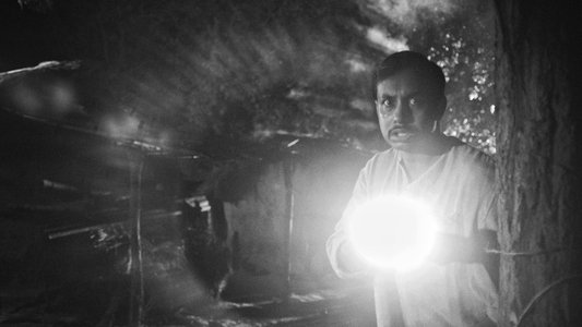 সোনাঝুরির ভূত
