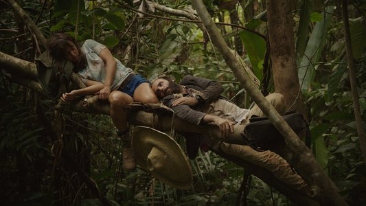 La Loi de la jungle