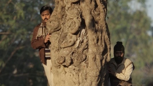 लापता लेडीज़