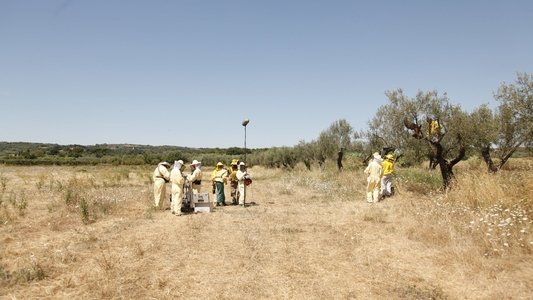 Le meraviglie