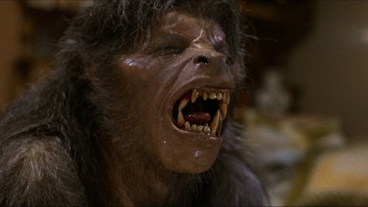 An American Werewolf in London