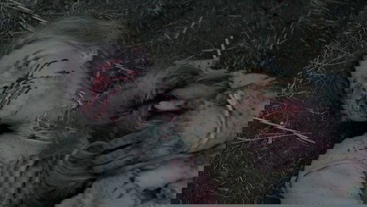 The Witch