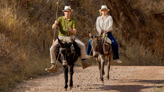 Missing the Boat