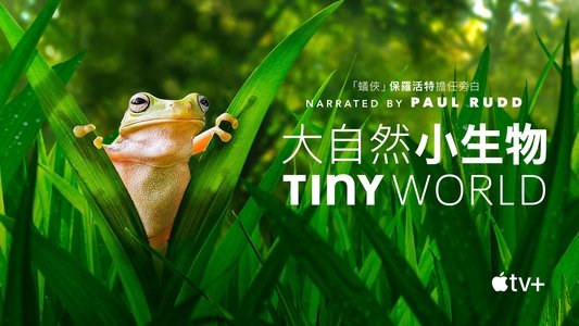 Tiny World